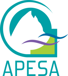Logo apesa